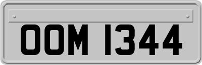 OOM1344