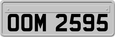 OOM2595