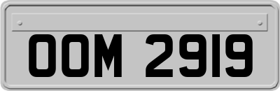 OOM2919