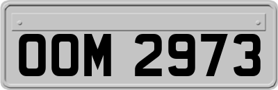 OOM2973
