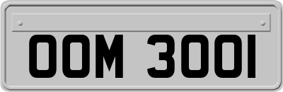 OOM3001