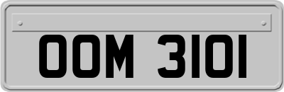 OOM3101