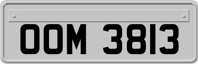 OOM3813