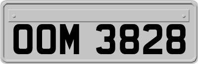 OOM3828