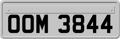 OOM3844