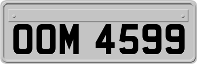OOM4599