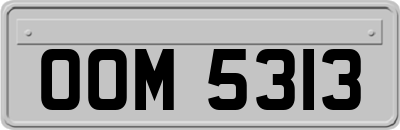 OOM5313