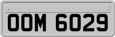 OOM6029