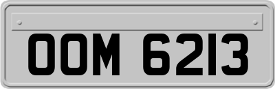 OOM6213