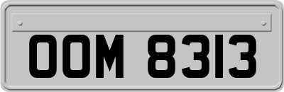 OOM8313