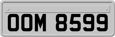 OOM8599