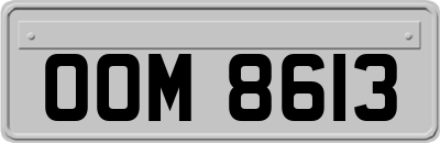 OOM8613