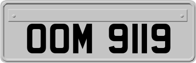 OOM9119