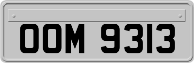 OOM9313