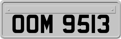 OOM9513