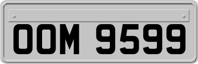 OOM9599