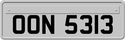 OON5313