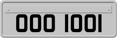OOO1001