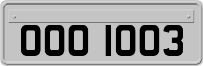 OOO1003