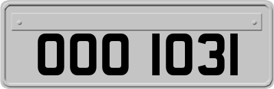 OOO1031