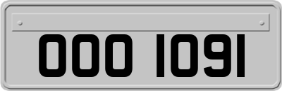 OOO1091
