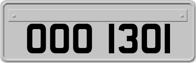 OOO1301