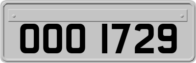 OOO1729