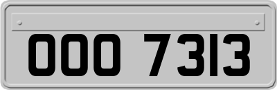 OOO7313
