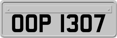 OOP1307