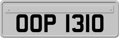 OOP1310