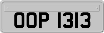 OOP1313