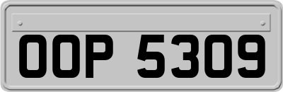 OOP5309