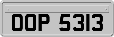 OOP5313
