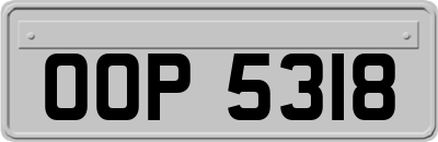 OOP5318