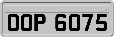 OOP6075