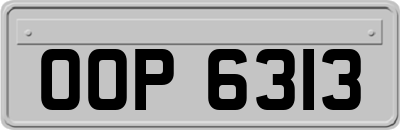 OOP6313