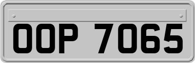 OOP7065
