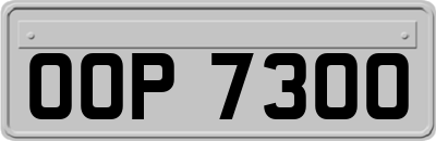 OOP7300
