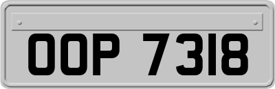 OOP7318