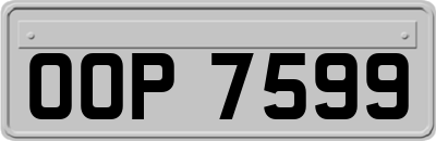 OOP7599