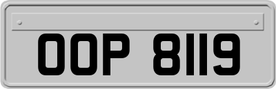 OOP8119