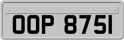 OOP8751
