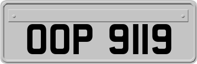 OOP9119