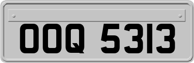 OOQ5313