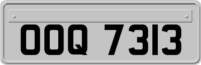 OOQ7313