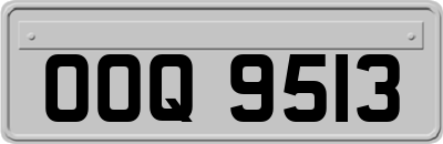 OOQ9513