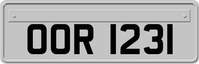 OOR1231