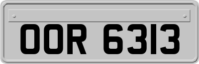 OOR6313