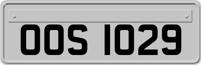 OOS1029