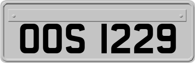 OOS1229